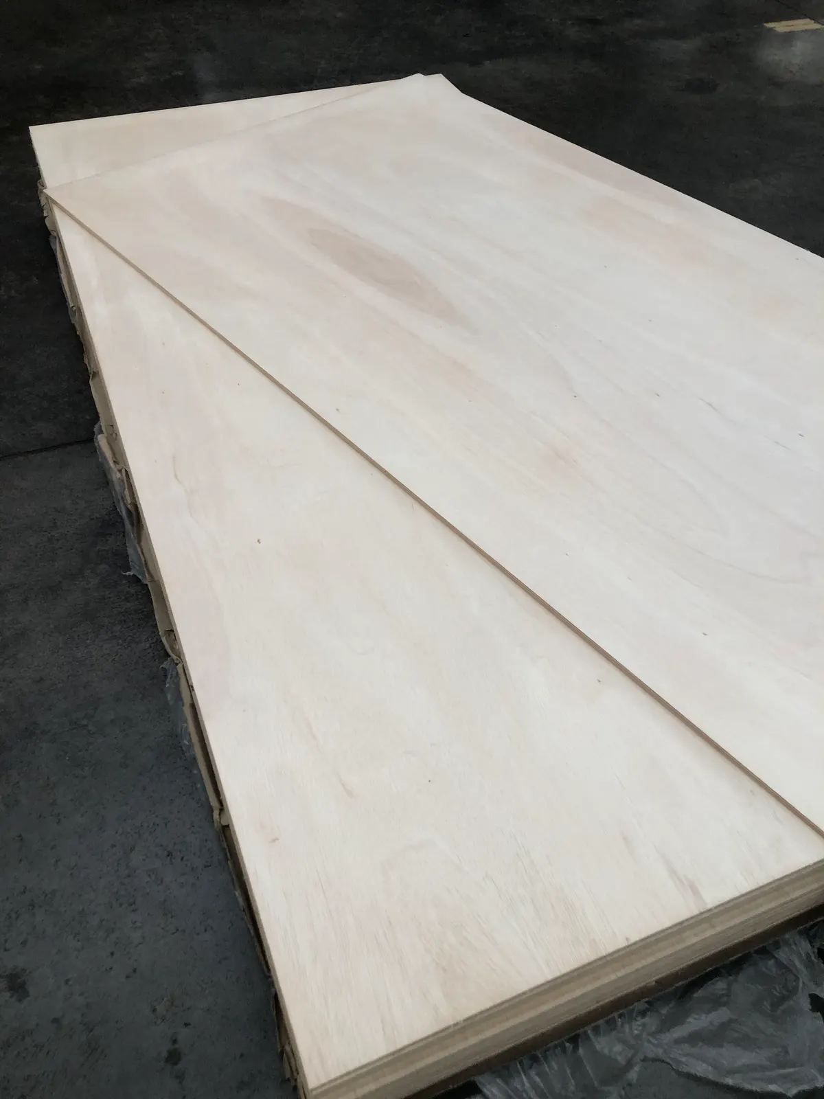 Falcata plywood sheets - pale, clean face veneer and layered edges, PlyMatrix NZ